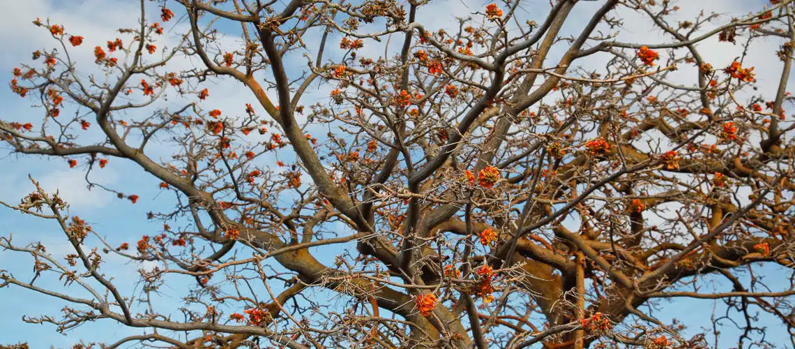 from Hawaii Calendar of Events, Fairs & Festivals: Winter on Slow Down, See More from Hawaii Calendar of Events, Fairs & Festivals: Winter on Slow Down, See More from Hawaii Calendar of Events, Fairs & Festivals: Winter on Slow Down, See More from Hawaii Calendar of Events, Fairs & Festivals: Winter on Slow Down, See More from Hawaii Calendar of Events, Fairs & Festivals: Winter on Slow Down, See More from Hawaii Calendar of Events, Fairs & Festivals: Winter on Slow Down, See More from Hawaii Calendar of Events, Fairs & Festivals: Winter on Slow Down, See More from Hawaii Calendar of Events, Fairs & Festivals: Winter on Slow Down, See More from Hawaii Calendar of Events, Fairs & Festivals: Winter on Slow Down, See More from Hawaii Calendar of Events, Fairs & Festivals: Winter on Slow Down, See More from Hawaii Calendar of Events, Fairs & Festivals: Winter on Slow Down, See More from Hawaii Calendar of Events, Fairs & Festivals: Winter on Slow Down, See More from Hawaii Calendar of Events, Fairs & Festivals: Winter on Slow Down, See More from Hawaii Calendar of Events, Fairs & Festivals: Winter on Slow Down, See More from Hawaii Calendar of Events, Fairs & Festivals: Winter on Slow Down, See More from Hawaii Calendar of Events, Fairs & Festivals: Winter on Slow Down, See More from Hawaii Calendar of Events, Fairs & Festivals: Winter on Slow Down, See More from Hawaii Calendar of Events, Fairs & Festivals: Winter on Slow Down, See More from Hawaii Calendar of Events, Fairs & Festivals: Winter on Slow Down, See More from Hawaii Calendar of Events, Fairs & Festivals: Winter on Slow Down, See More from Hawaii Calendar of Events, Fairs & Festivals: Winter on Slow Down, See More from Hawaii Calendar of Events, Fairs & Festivals: Winter on Slow Down, See More from Hawaii Calendar of Events, Fairs & Festivals: Winter on Slow Down, See More from Hawaii Calendar of Events, Fairs & Festivals: Winter on Slow Down, See More from Hawaii Calendar of Events, Fairs & Festivals: Winter on Slow Down, See More from Hawaii Calendar of Events, Fairs & Festivals: Winter on Slow Down, See More from Hawaii Calendar of Events, Fairs & Festivals: Winter on Slow Down, See More from Hawaii Calendar of Events, Fairs & Festivals: Winter on Slow Down, See More from Hawaii Calendar of Events, Fairs & Festivals: Winter on Slow Down, See More from Hawaii Calendar of Events, Fairs & Festivals: Winter on Slow Down, See More